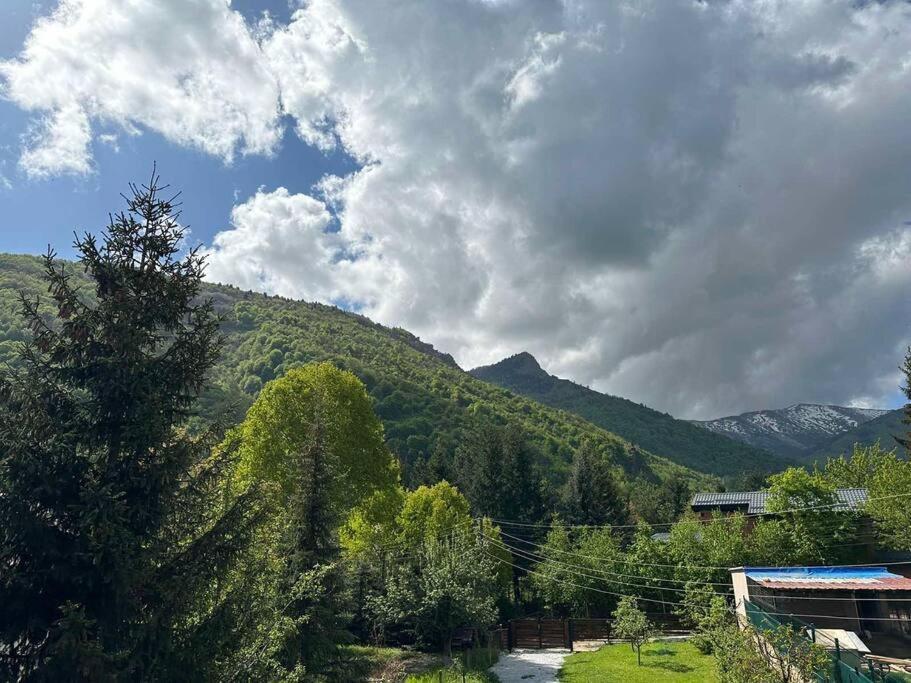 Cosy Mountain Villa In Nizepole Bitola Exterior foto